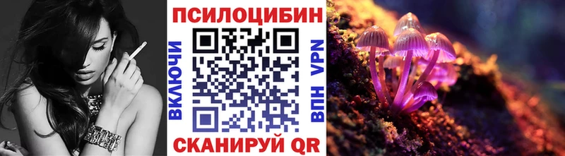 Галлюциногенные грибы Psilocybe купить закладку Межгорье